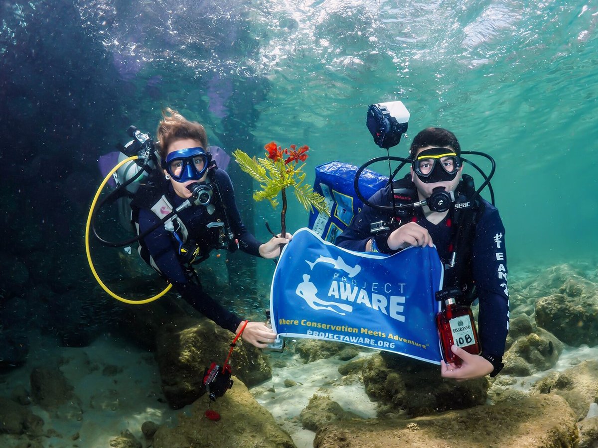 Dive Friends Bonaire (Kralendijk) - All You Need to Know BEFORE You Go