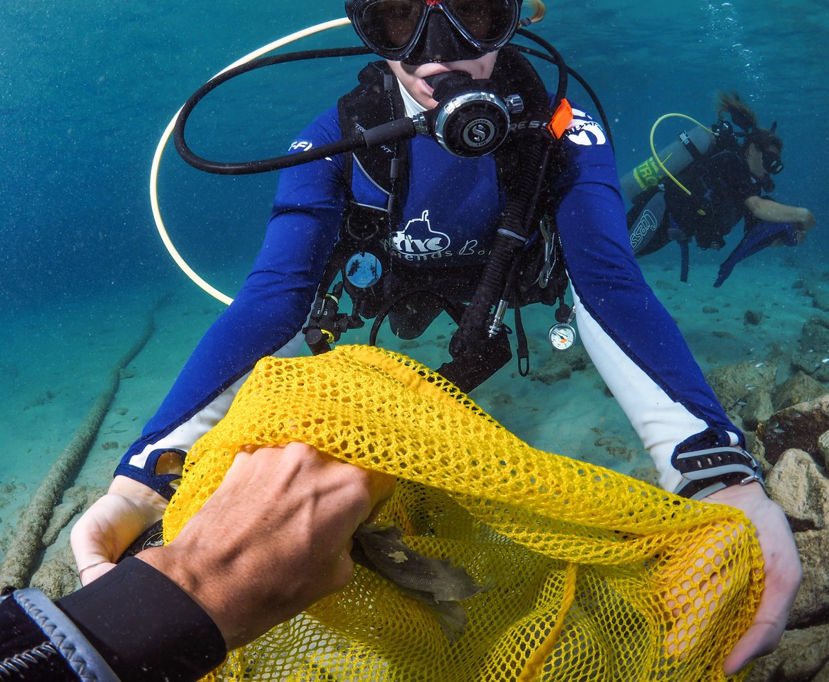 DIVERS PARADISE APARTMENTS BONAIRE, CARIBE: 117 fotos, comparação de preços  e 12 avaliações - Tripadvisor