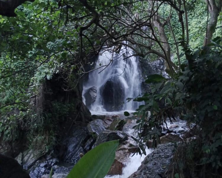 Kororo Falls image