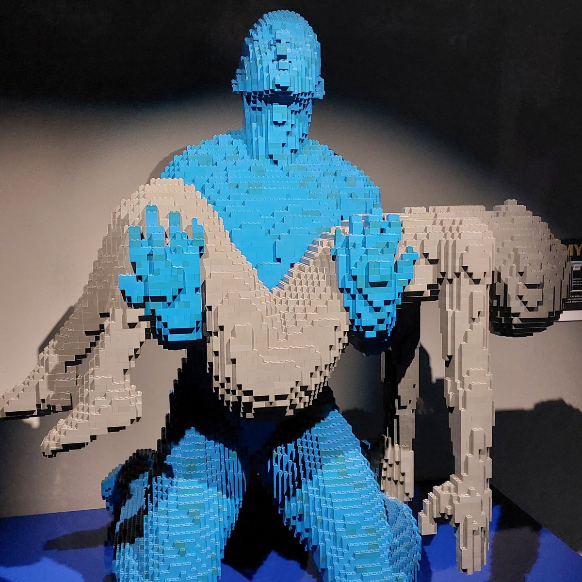 THE ART OF THE BRICK: All You Need to Know BEFORE You Go (with Photos)