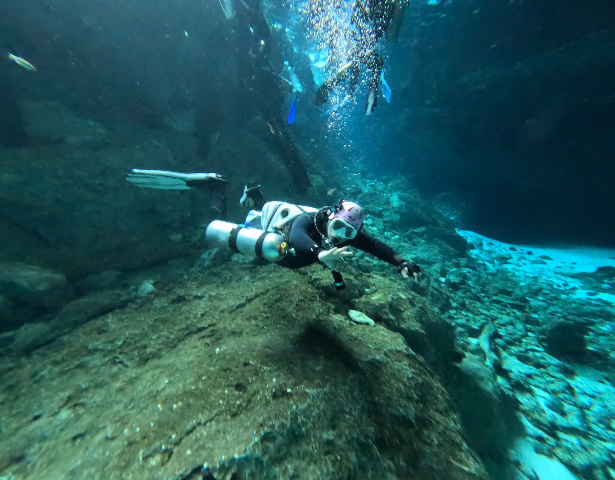 mayan dive center playa del carmen