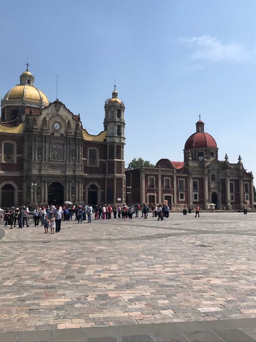 Mexico City TravelingSoccerLoon review images
