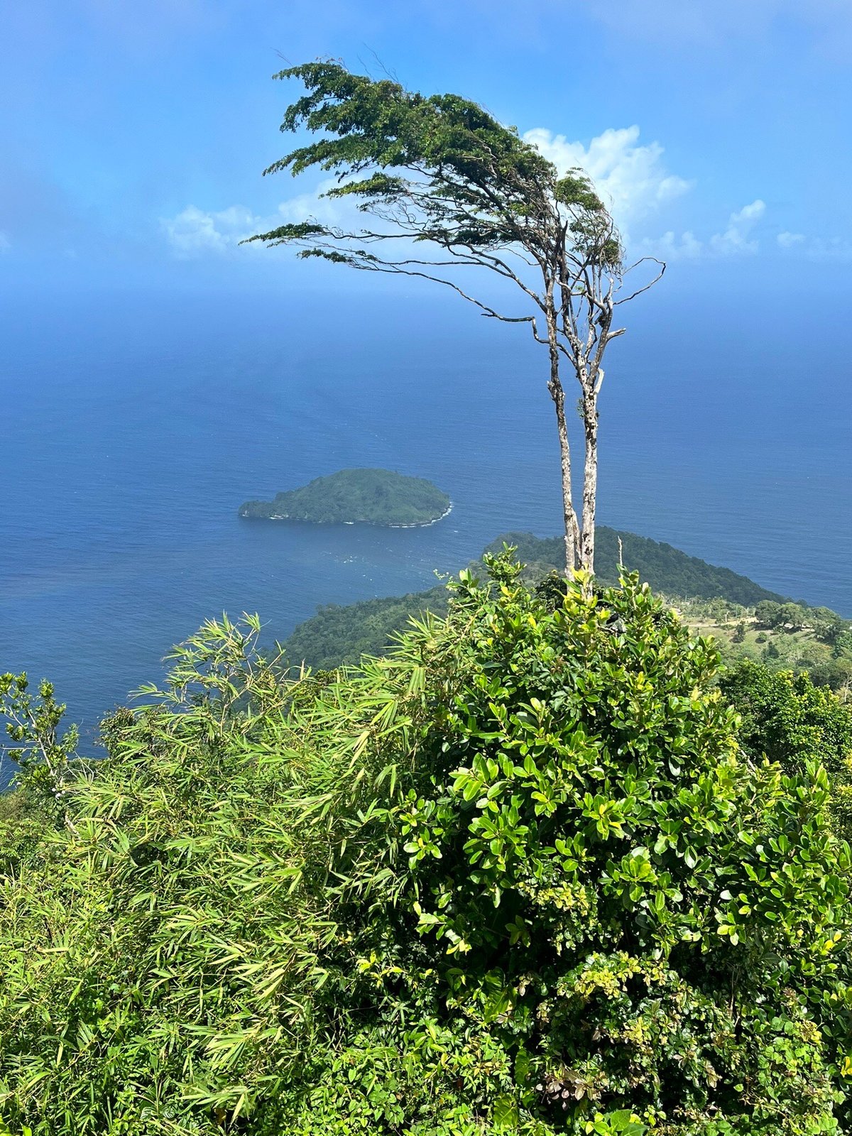 La Vigie Paramin Lookout (Maraval) - All You Need to Know BEFORE You Go