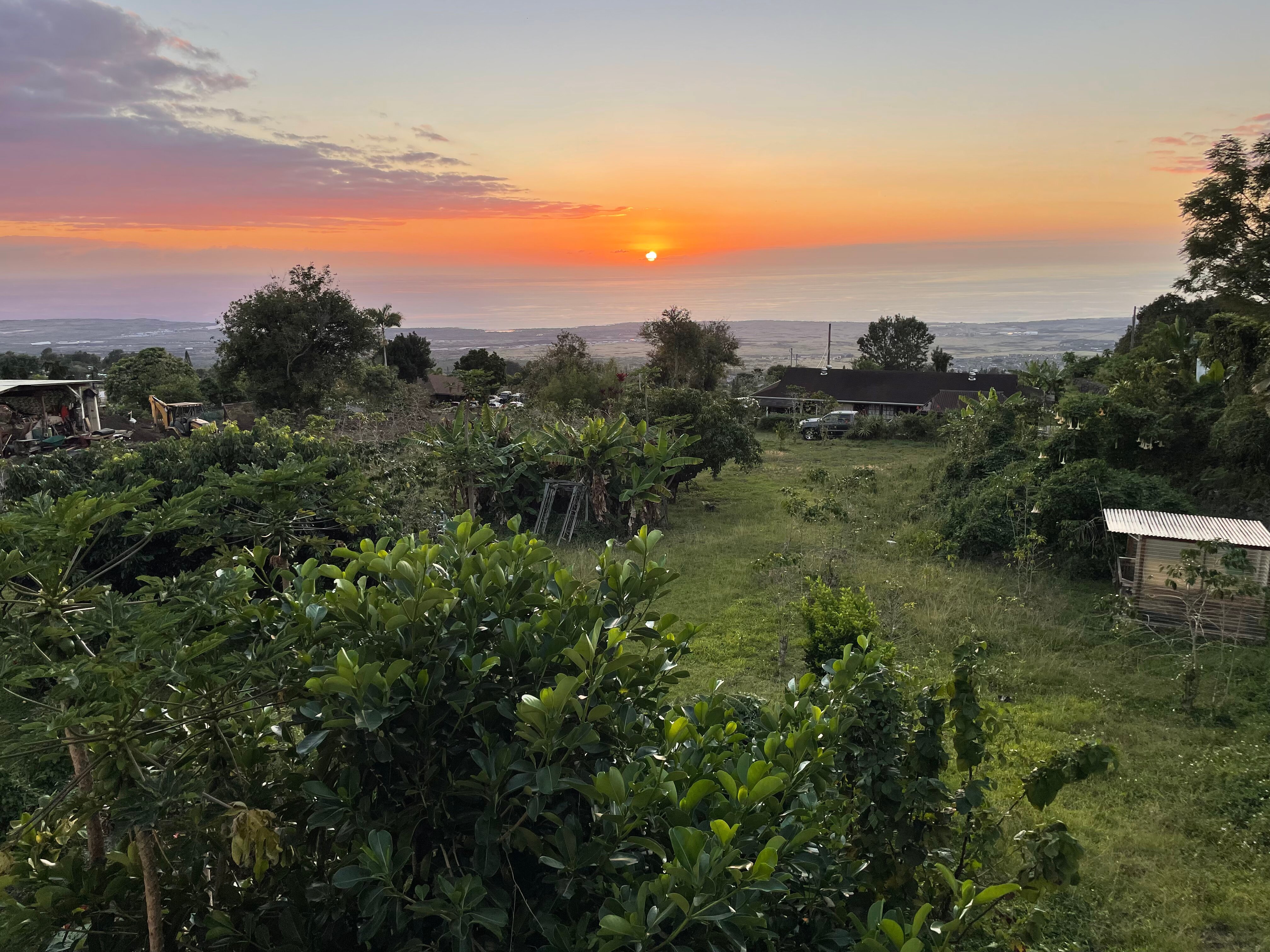 KALAOA GARDEN B & B (KAILUA-KONA, HAVAÍ): Avaliações - Tripadvisor