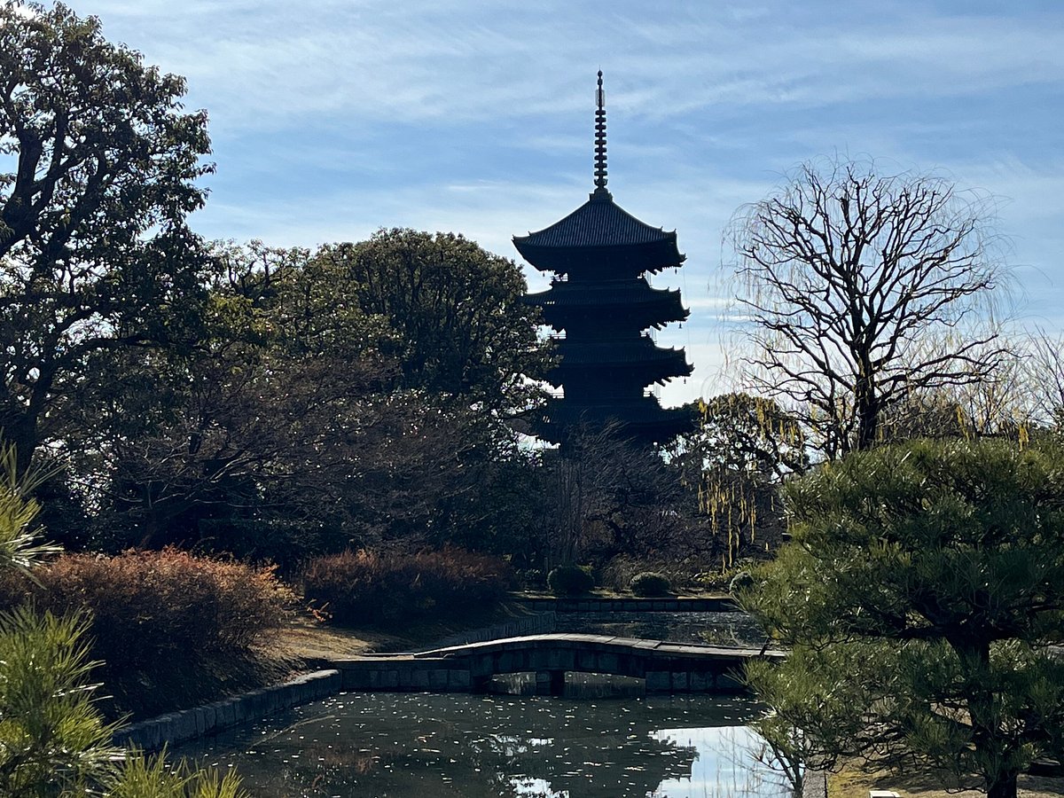 kyoto cycle