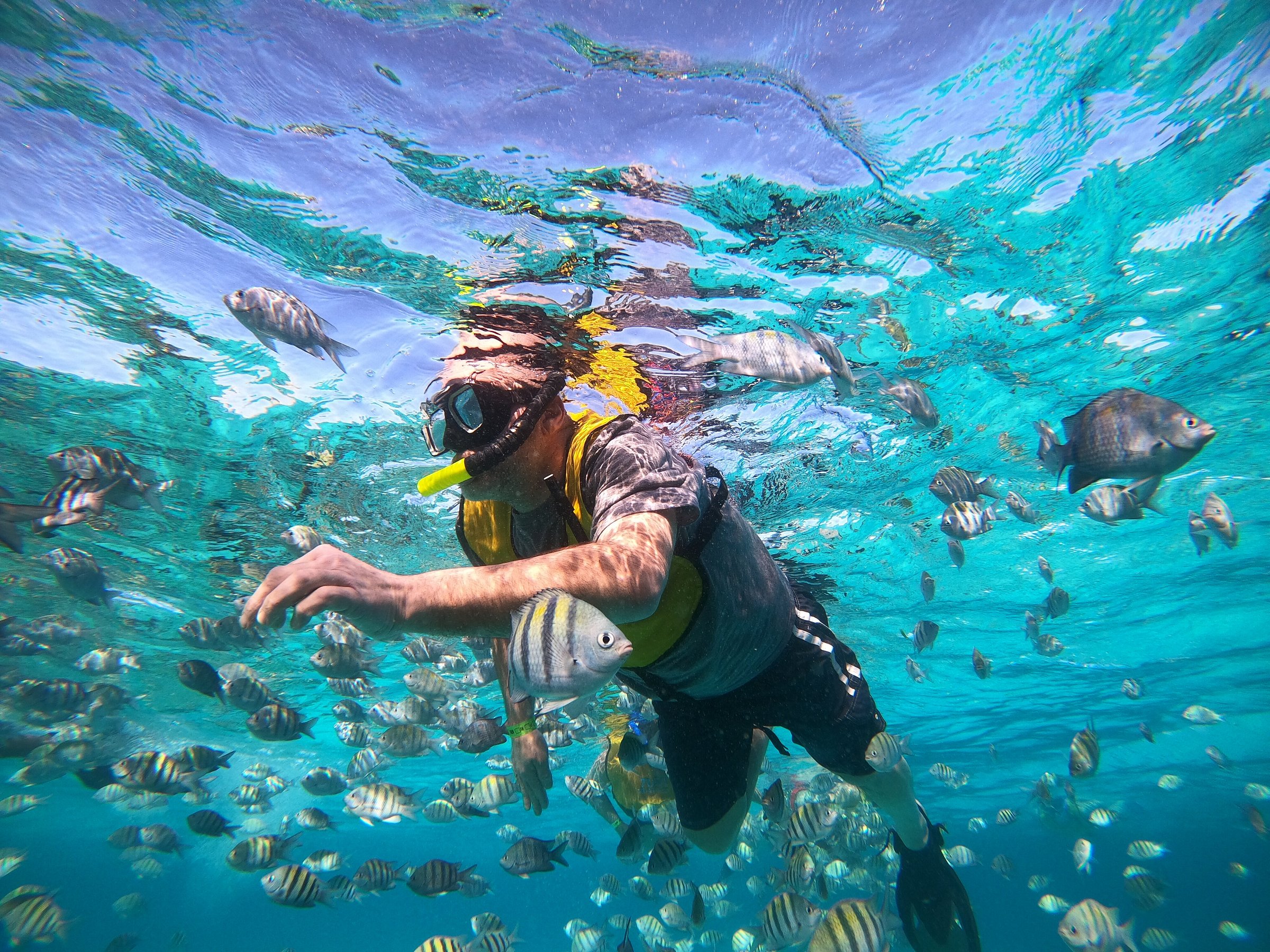 places to snorkel in cancun