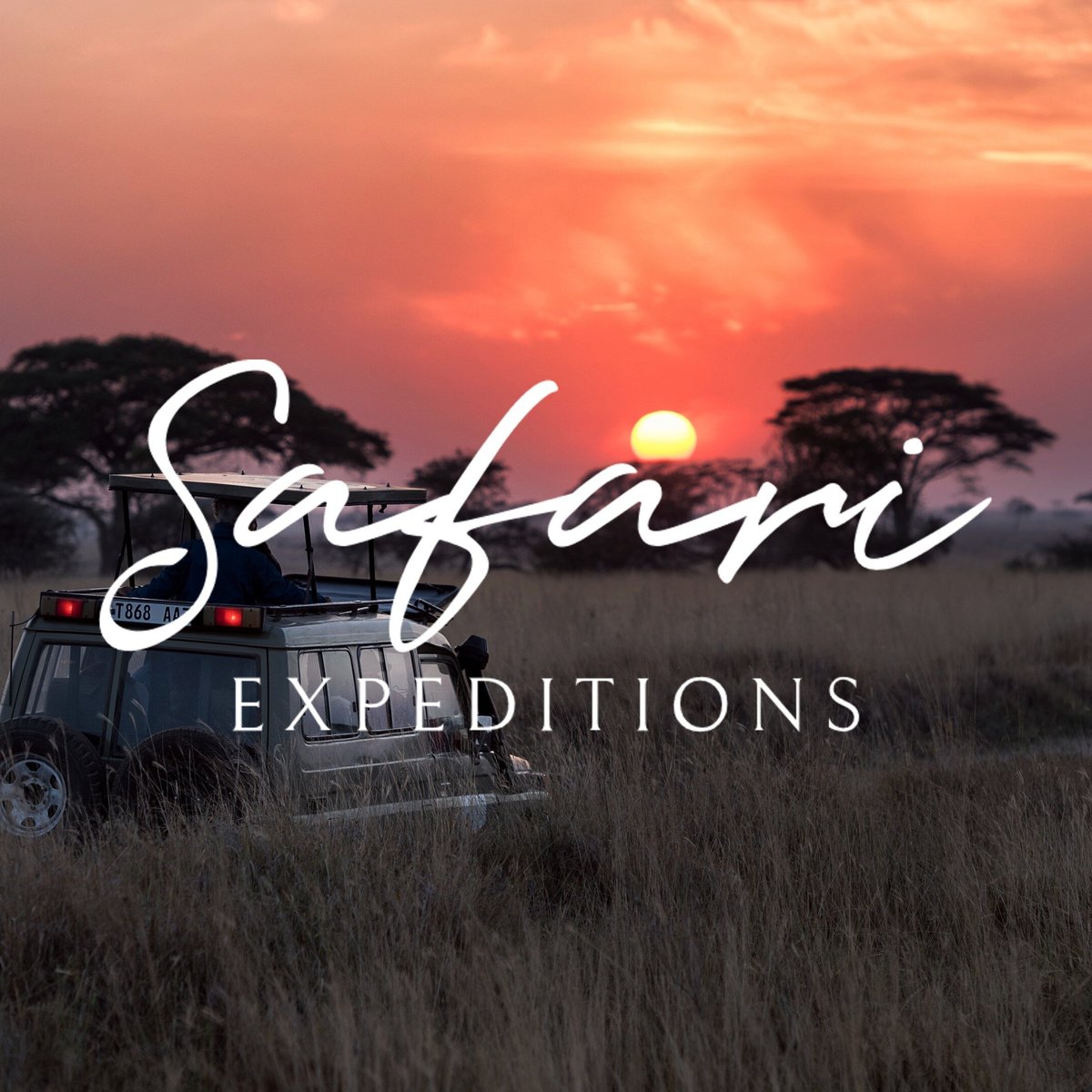 Safari Expeditions - All You Need to Know BEFORE You Go (2024)