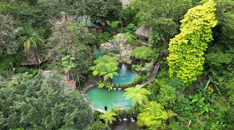 Forest Camp Resort (Valencia) - 호텔 리뷰