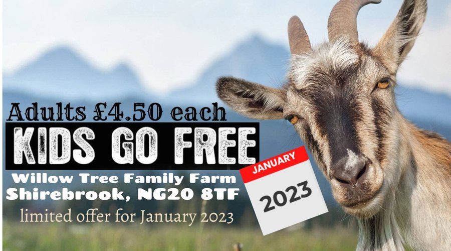 discount offer for Jan 23