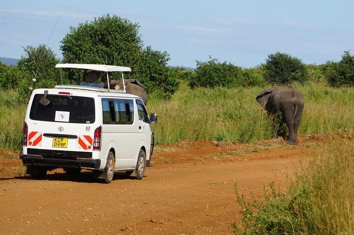 Seven By Far Tours Travel Kenya All You Need to Know BEFORE