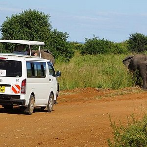 scenic safaris kenya