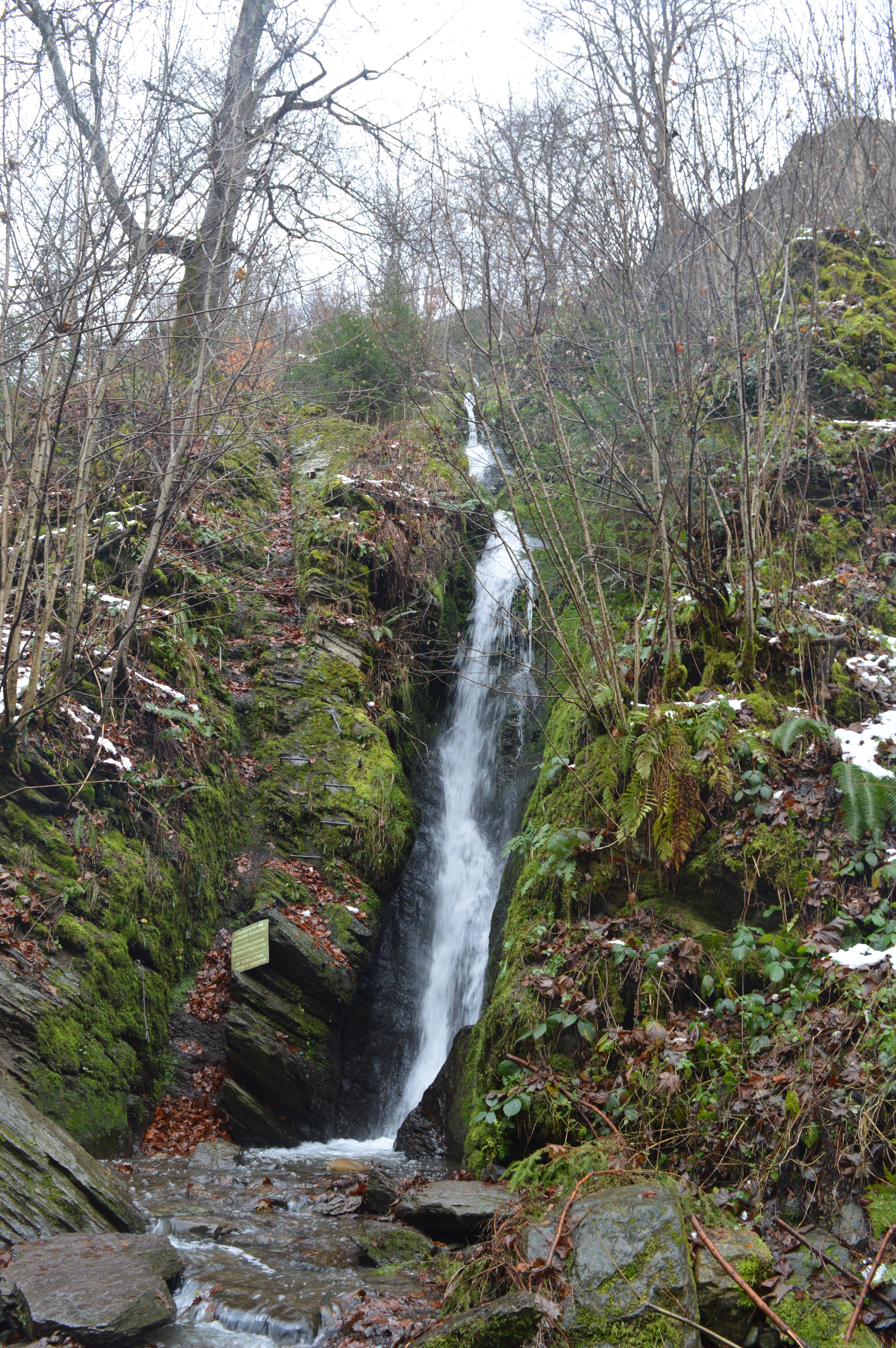 Cascade De Reinhardstein (Waimes, เบลเยียม) - รีวิว - Tripadvisor