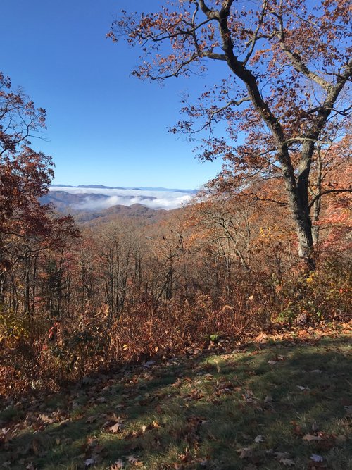 North Carolina Mountains Ward D review images