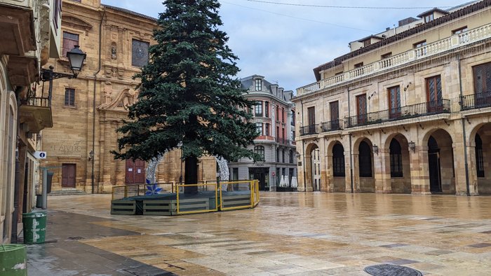 Imagen 10 de Ayuntamiento de Oviedo