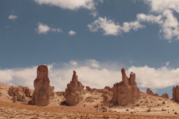 2023 Half Day Tour to San Pedro de Atacama by Ruta de los Salares