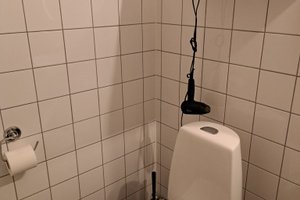 Svit och rum