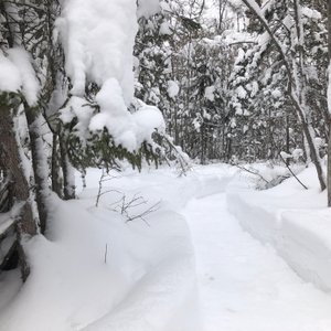 Trail leads down to the lake from the guesthouse