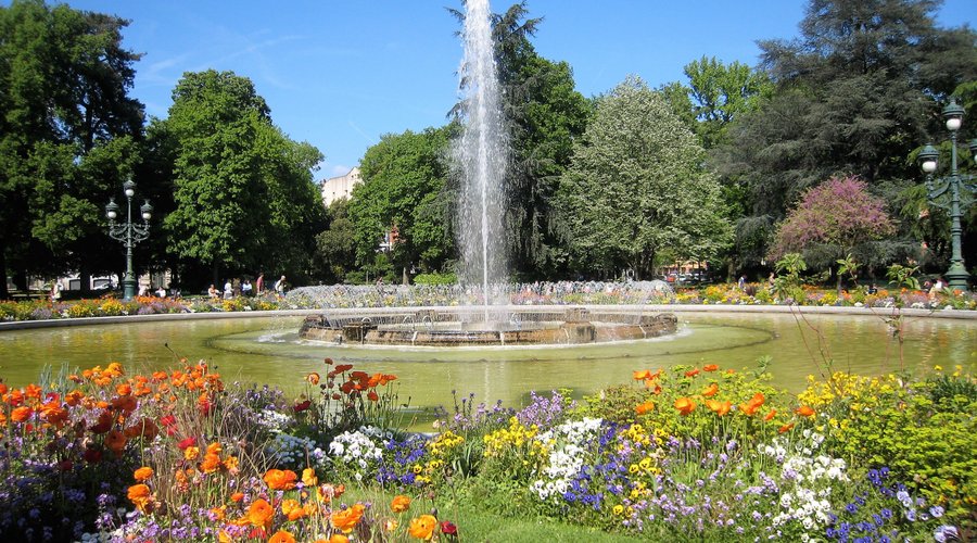 Souvenirs de mes Balades -- France - Occitanie - En plein milieu de l'hiver , une petite image d'une superbe floraison dans le parc du Grand Rond de Toulouse nous fait penser que le printemps n'est plus très loin - 23.01.06 - Cliquer sur la photo pour découvrir la prise de vue complète
