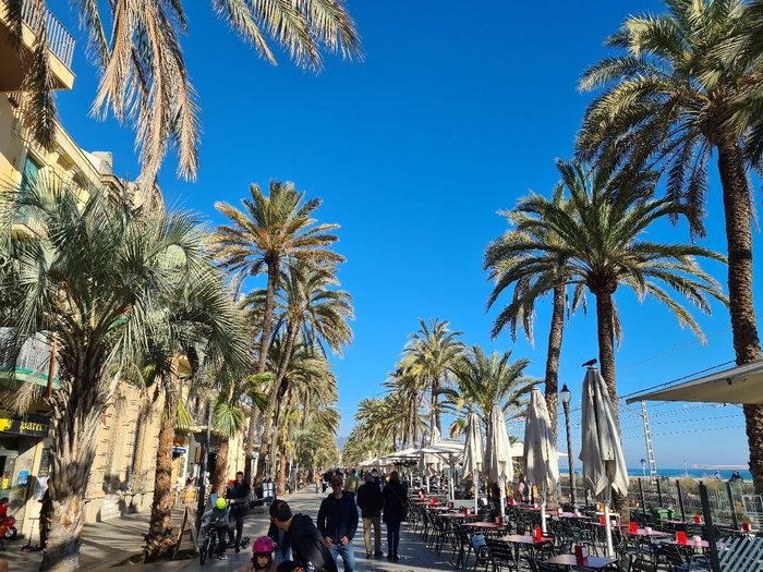 Imagen 9 de Rambla de Badalona