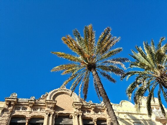 Imagen 8 de Rambla de Badalona