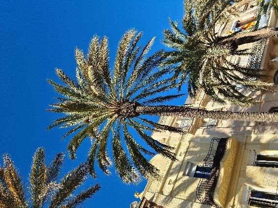 Imagen 7 de Rambla de Badalona