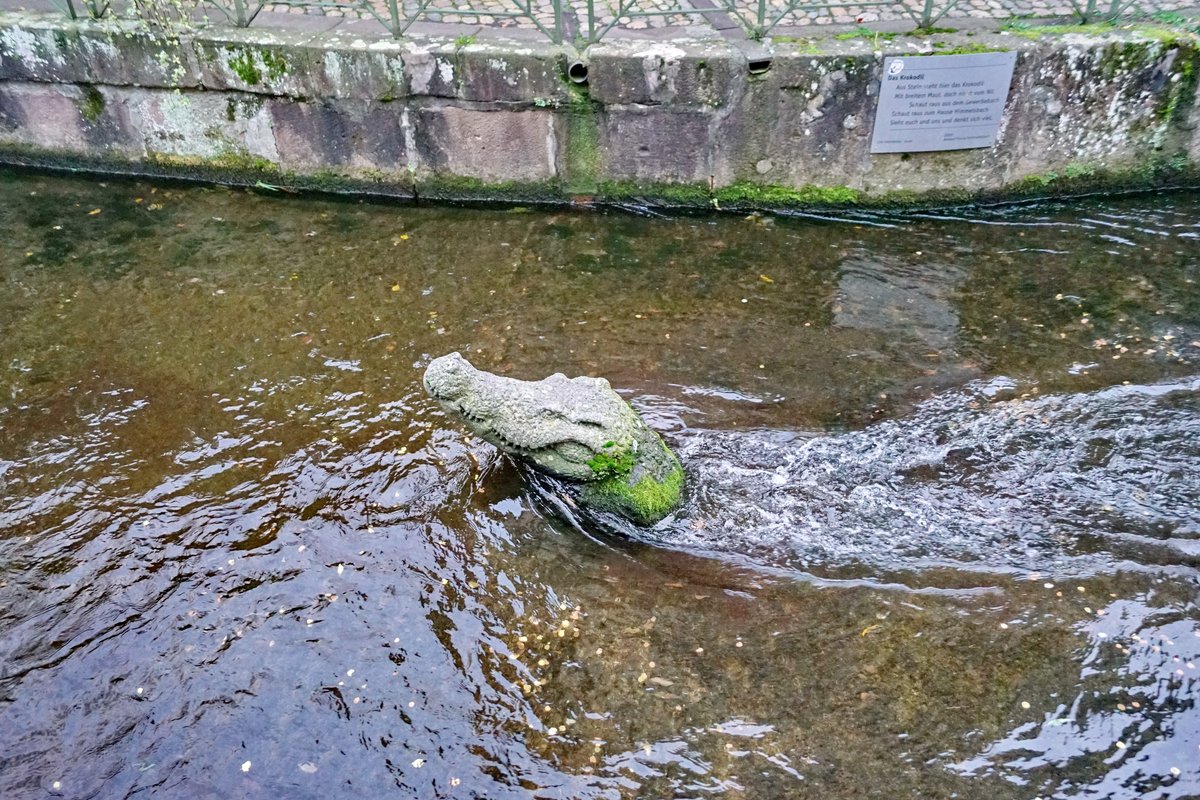 Gewerbekanal, Фрайбург-ам-Брайсгау: лучшие советы перед посещением -  Tripadvisor