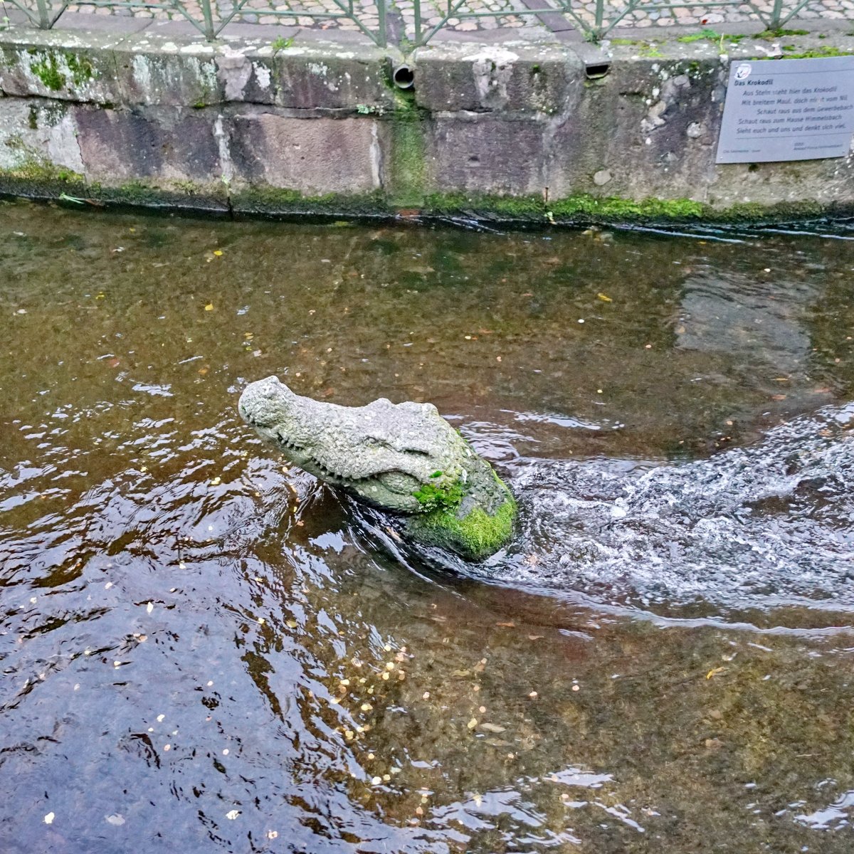 Gewerbekanal, Фрайбург-ам-Брайсгау: лучшие советы перед посещением -  Tripadvisor