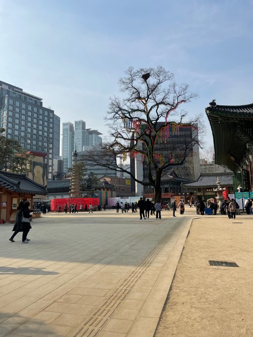 Seoul review images