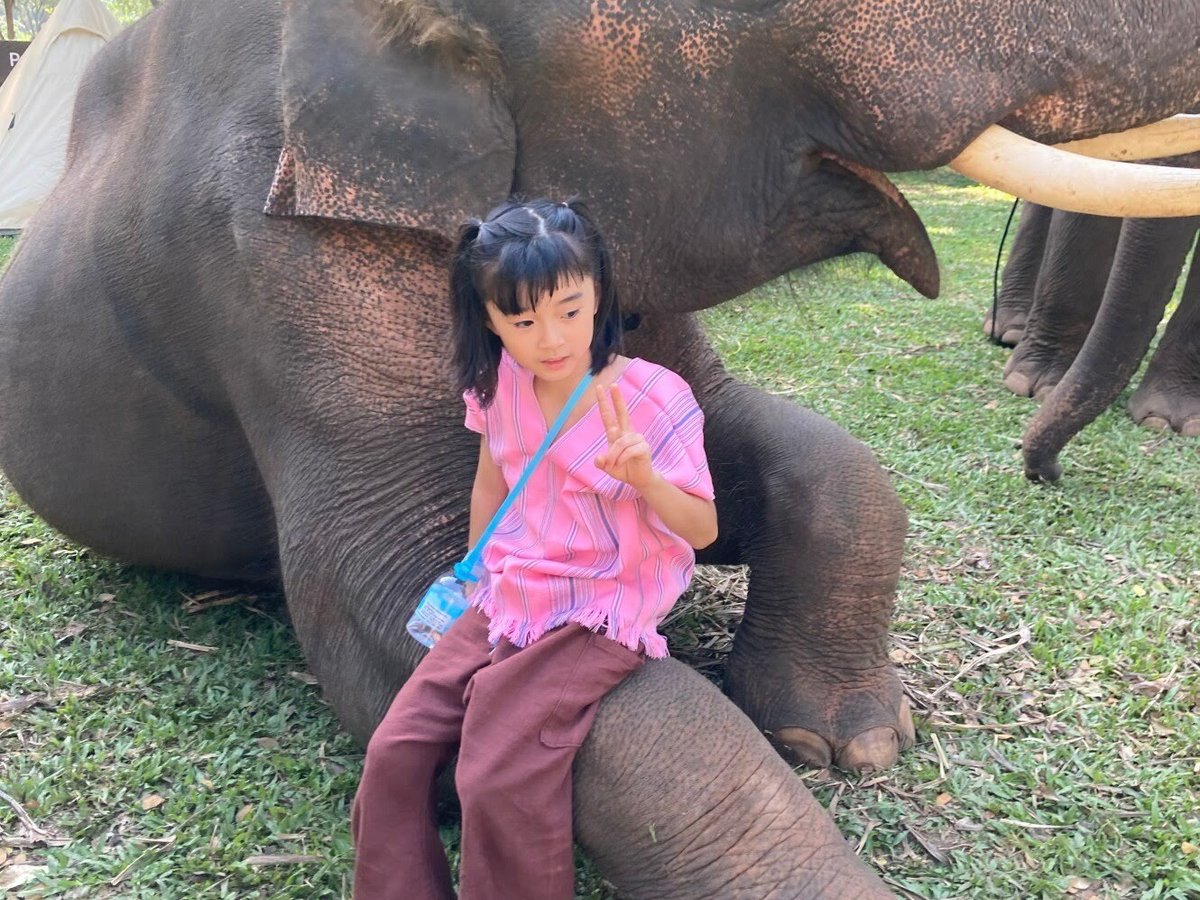 Patara Elephant Farm - Private Tours (Chiang Mai) - All You Need to ...