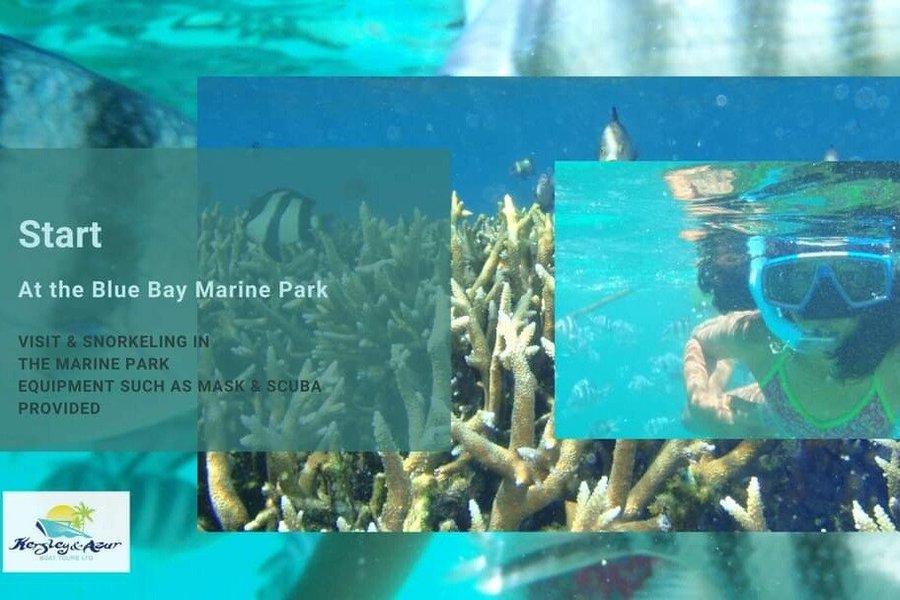Kersley & Azur boat tours image