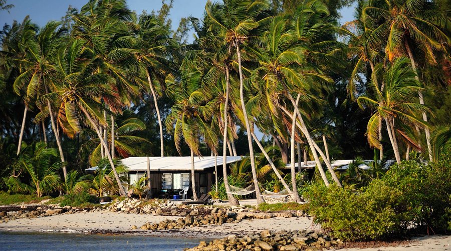 Cabins and hammocks