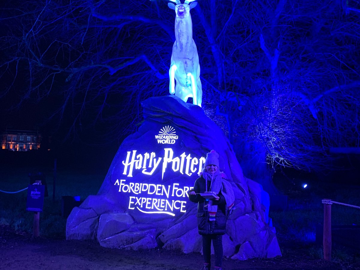 Harry Potter Forbidden Forest Experience (Arley) All You Need to Know