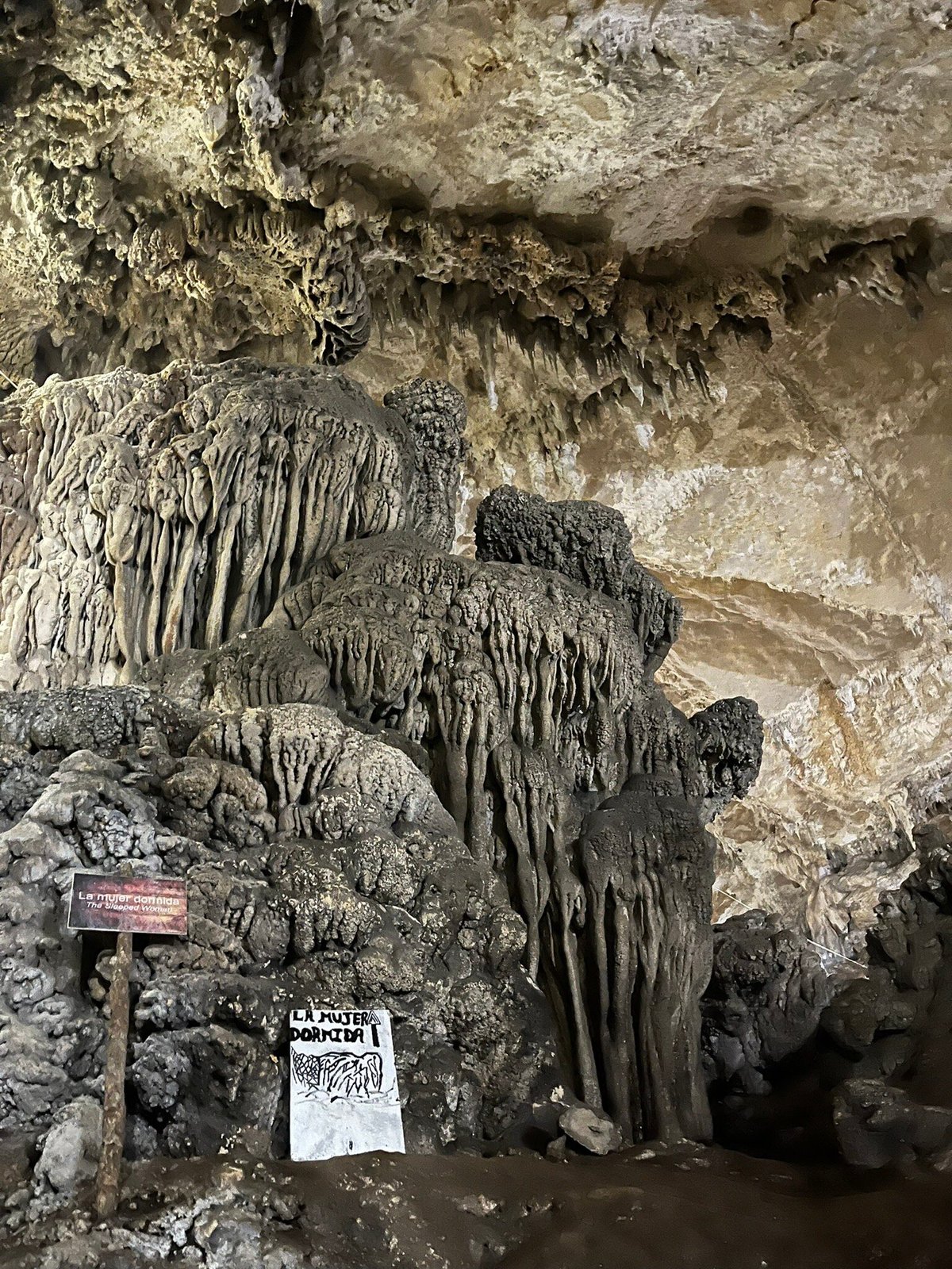 se permiten perros en la cueva del mamut