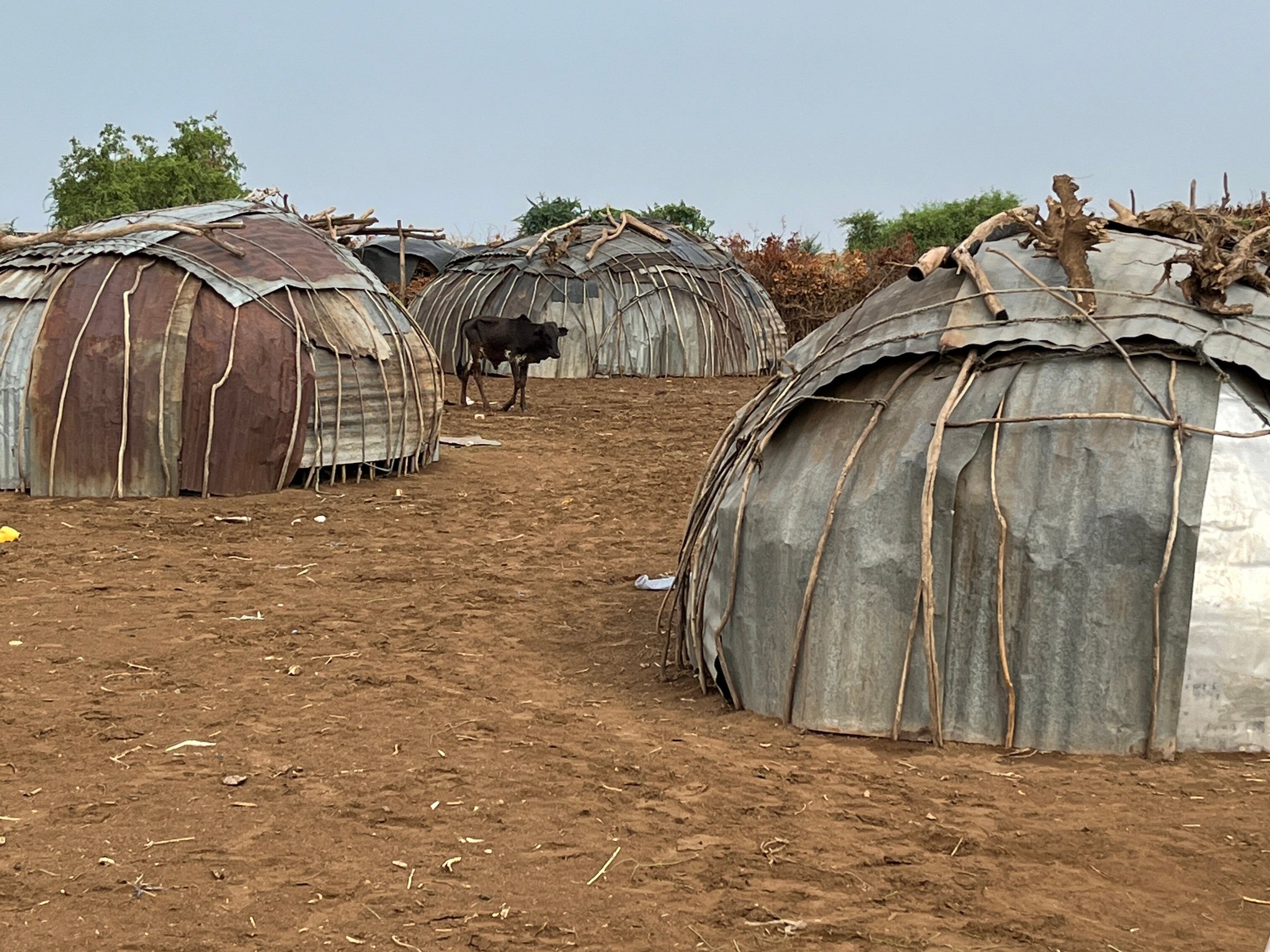 MESOB ETHIOPIA TOURS (Addis Abeba) Tutto quello che c'è da sapere