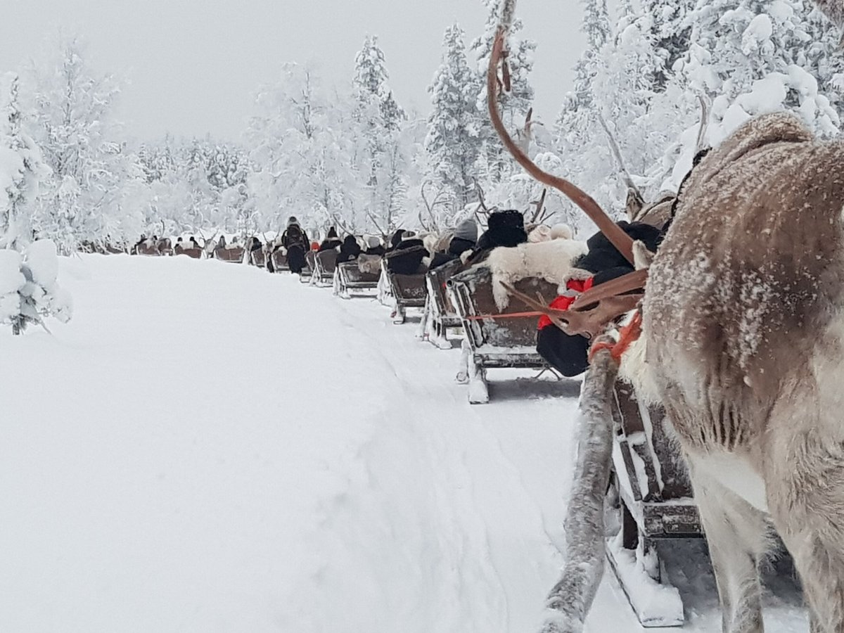 Lapland Safaris Saariselka - All You Need to Know BEFORE You Go