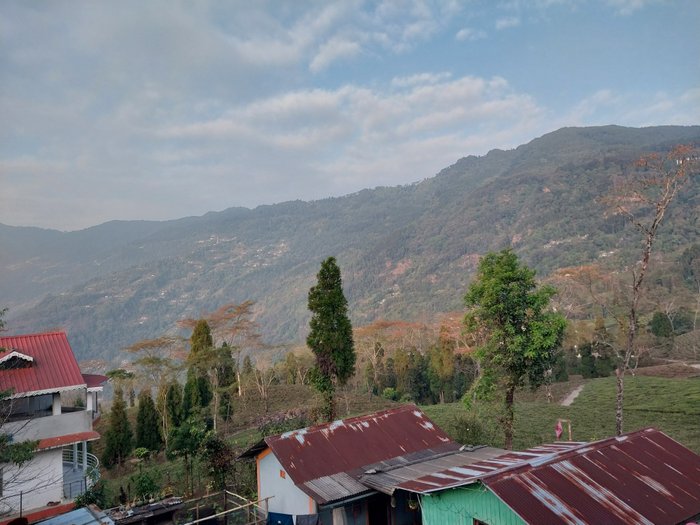 FORES-TEA HOMESTAYS - Updated 2023 Prices & Hotel Reviews (Rangli ...