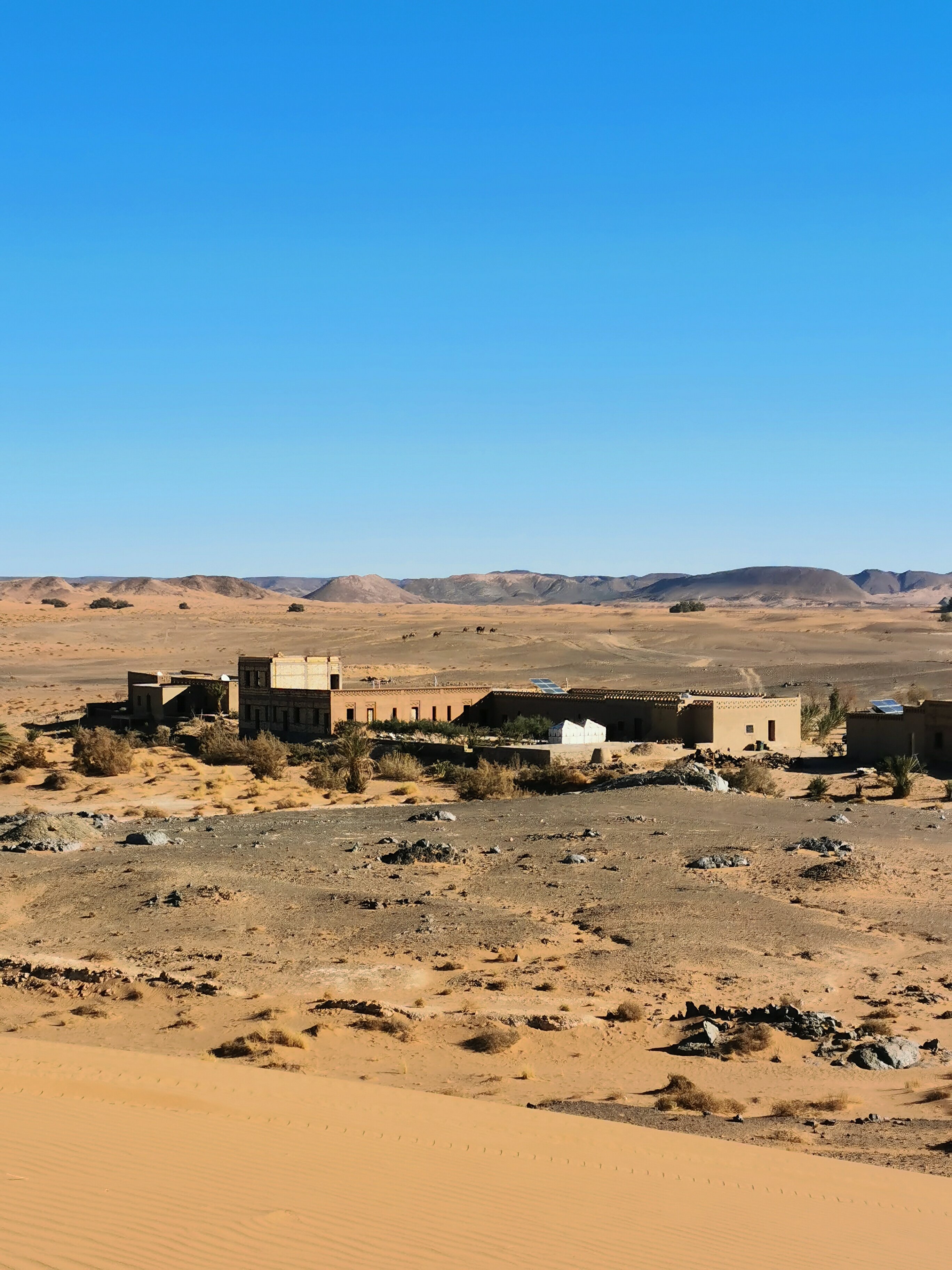 ITRANE SAHARA (Taouz, Marruecos): Opiniones Y Fotos Del Albergue