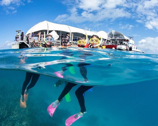 2023 Snorkelling or Glass Bottom Boat at Green Island from Cairns