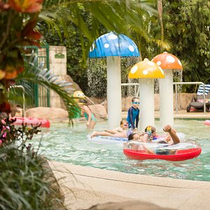 Ashmore Palms' Mushroom Lagoon is popular with families and is heated in the cooler months.