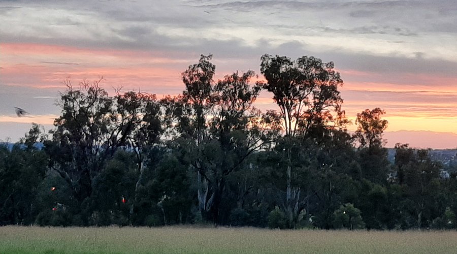 View from driveway.