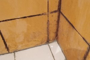 Viajero