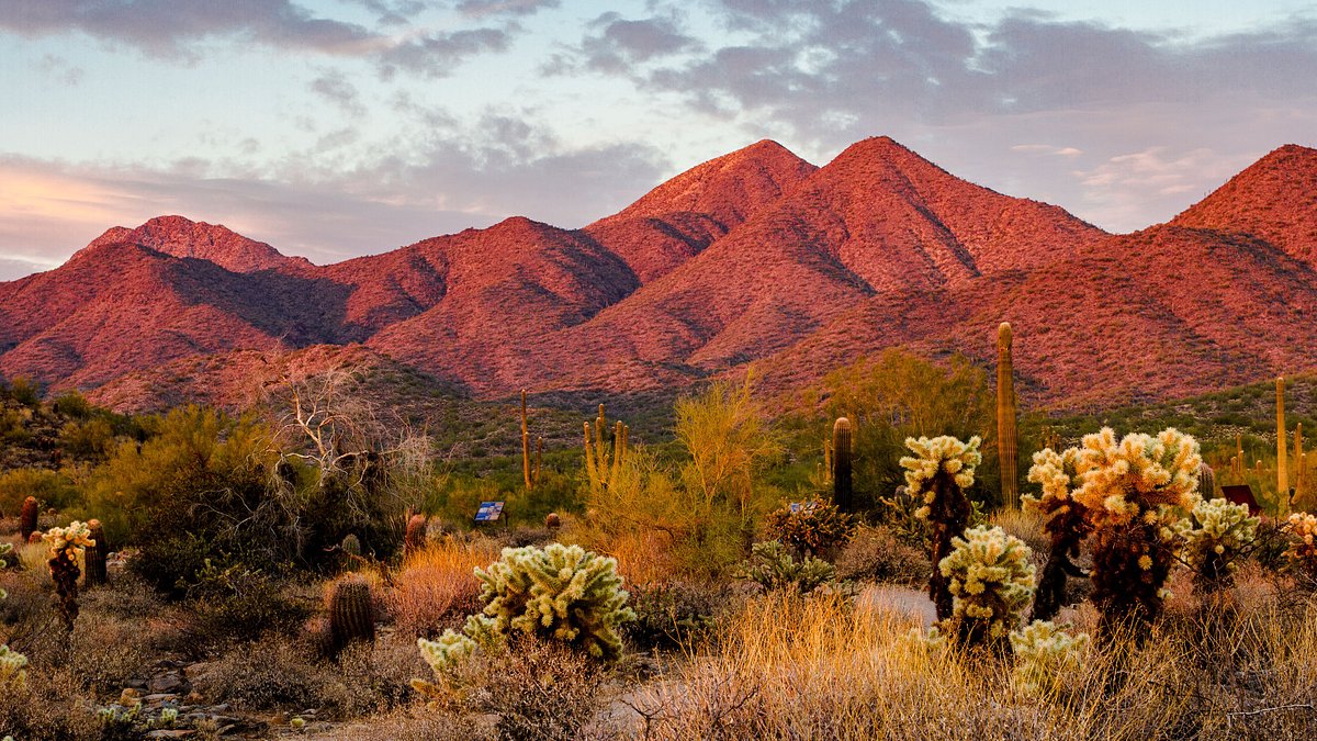 15 fun and unique things to do in Scottsdale, Arizona - Tripadvisor