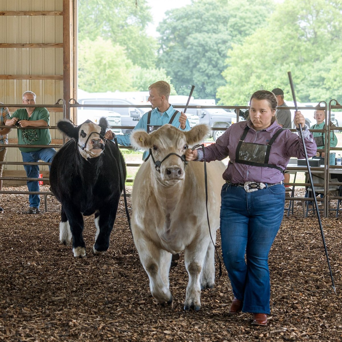 MACON COUNTY FAIR (Decatur) 2023 Qué saber antes de ir Lo más