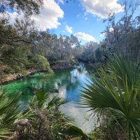 BLUE SPRING STATE PARK (Orange City) - 2023 What to Know BEFORE You Go