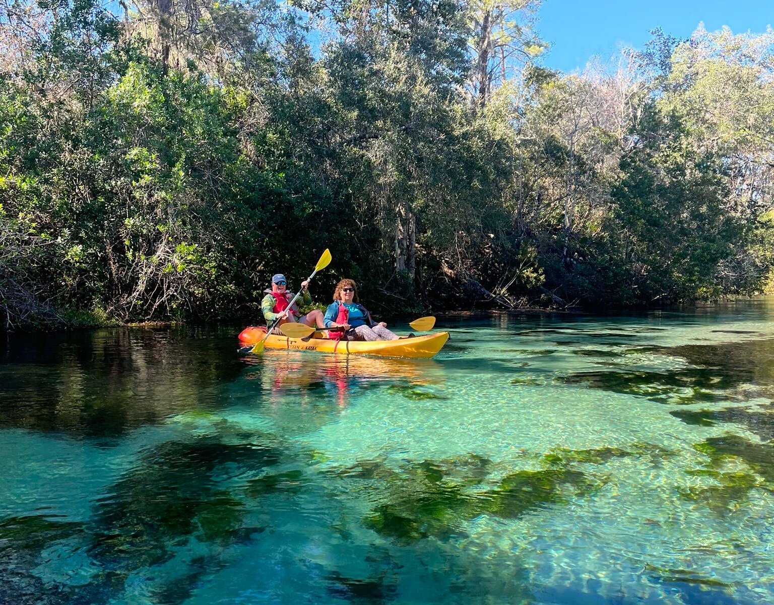 wachee google