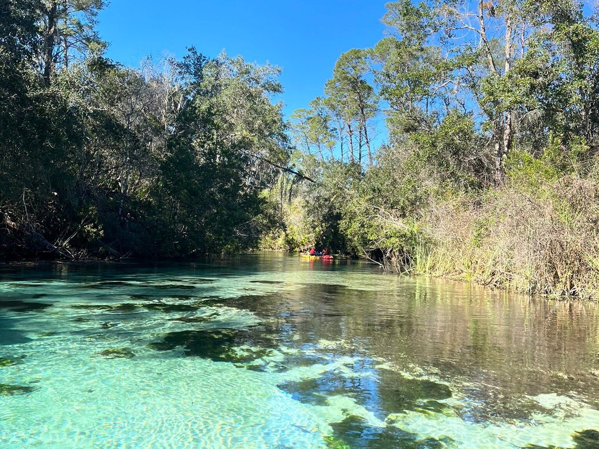 Weeki Wachee Springs - All You Need to Know BEFORE You Go