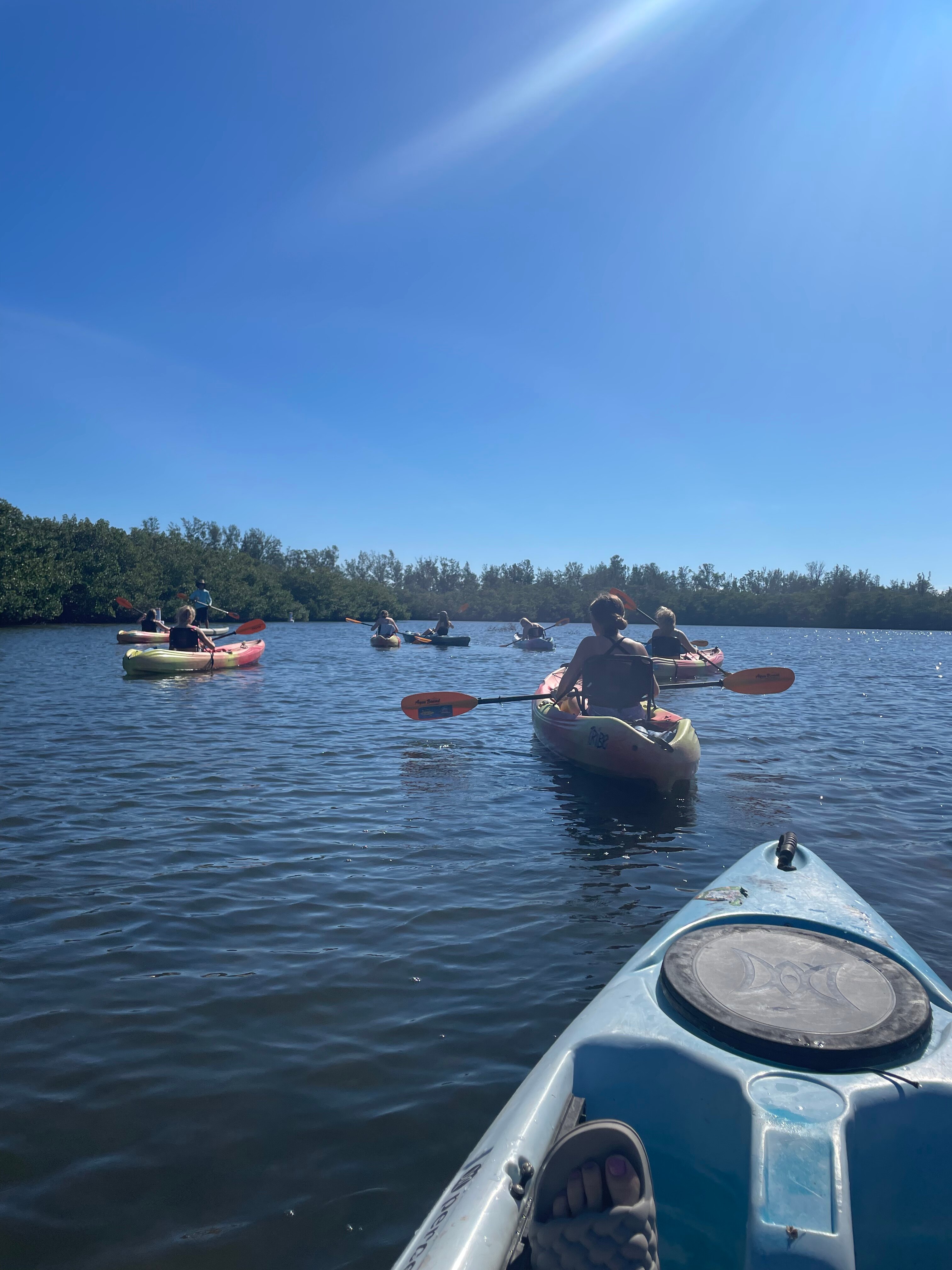 Kayaking SRQ Tours And Rentals (Sarasota) - All You Need To Know BEFORE ...