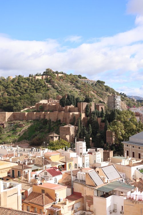 Province of Malaga Rohit review images