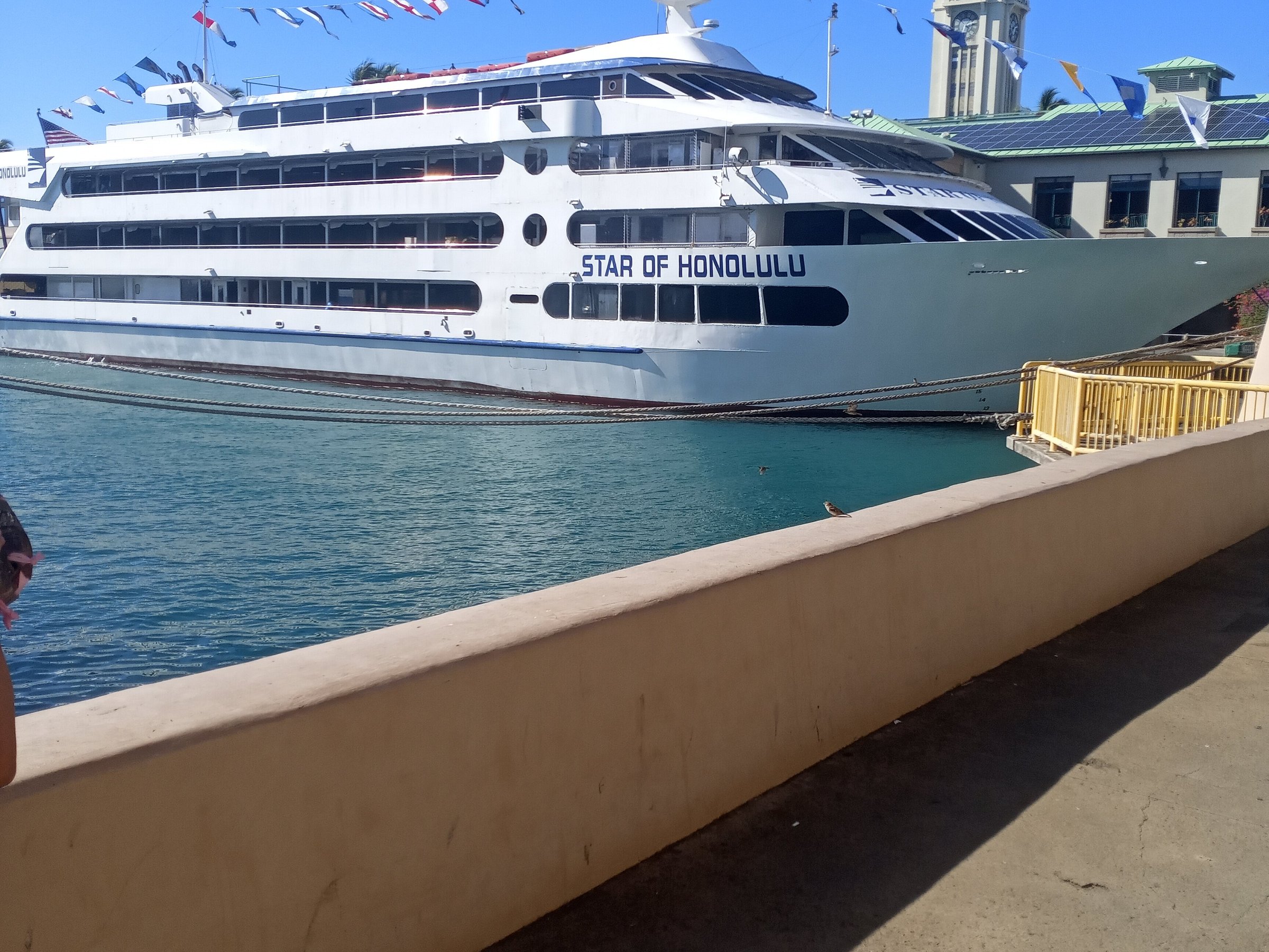 star of honolulu cruise review