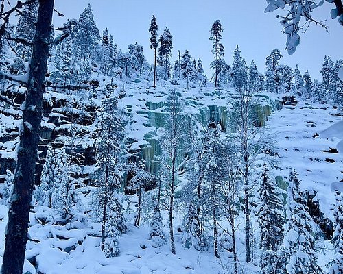 lapland trips from belfast